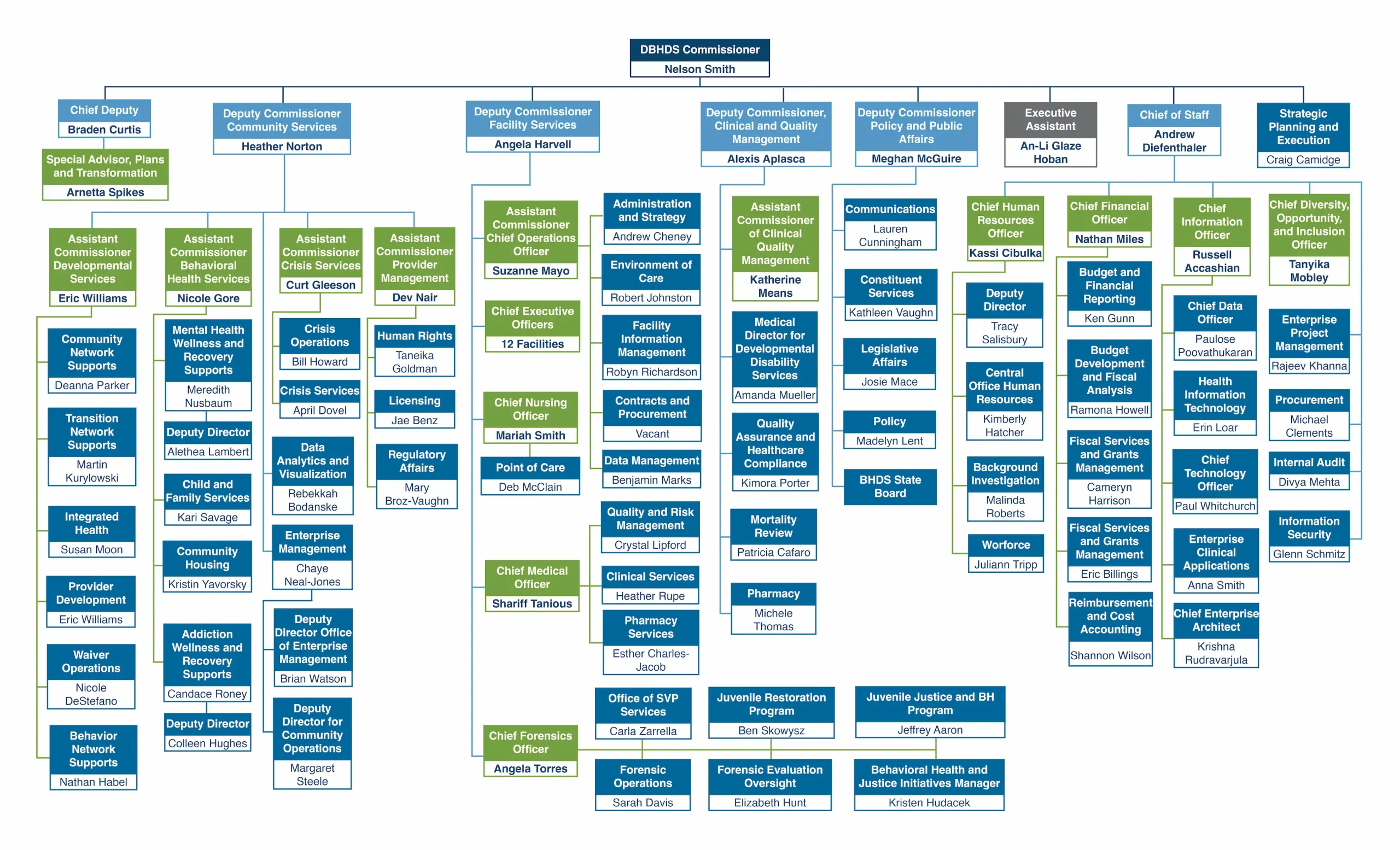 Organigramme de la DBHDS